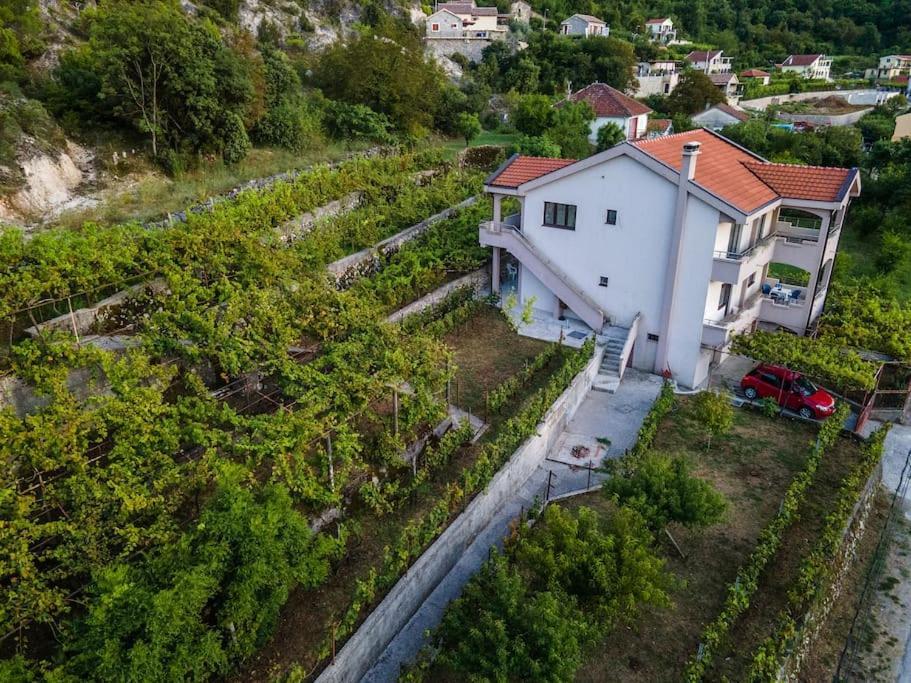 Вилла Pavle'S Oasis Вирпазар Экстерьер фото