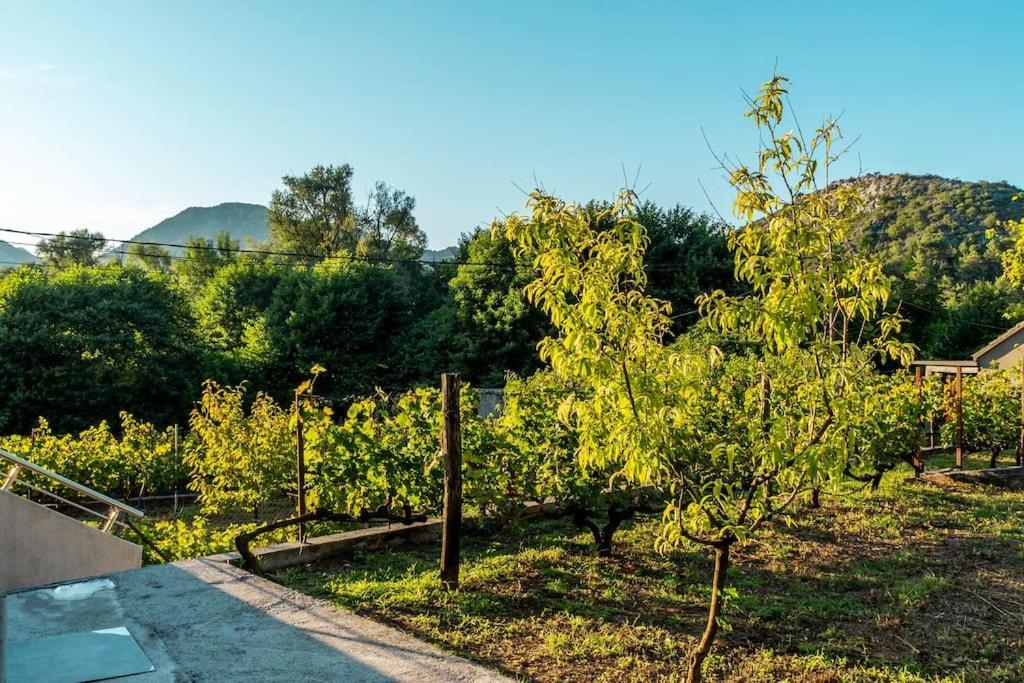Вилла Pavle'S Oasis Вирпазар Экстерьер фото
